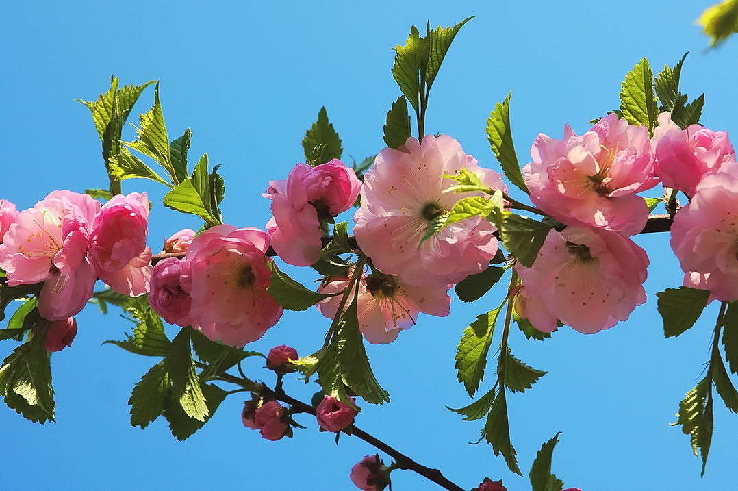 ������ ����� ���������  �� PhotoGeek.ru #������ ��� �������