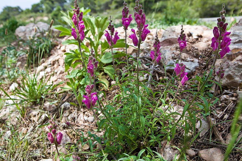 ����� ������� ��� ����� ���������  �� PhotoGeek.ru #������ ��� �������