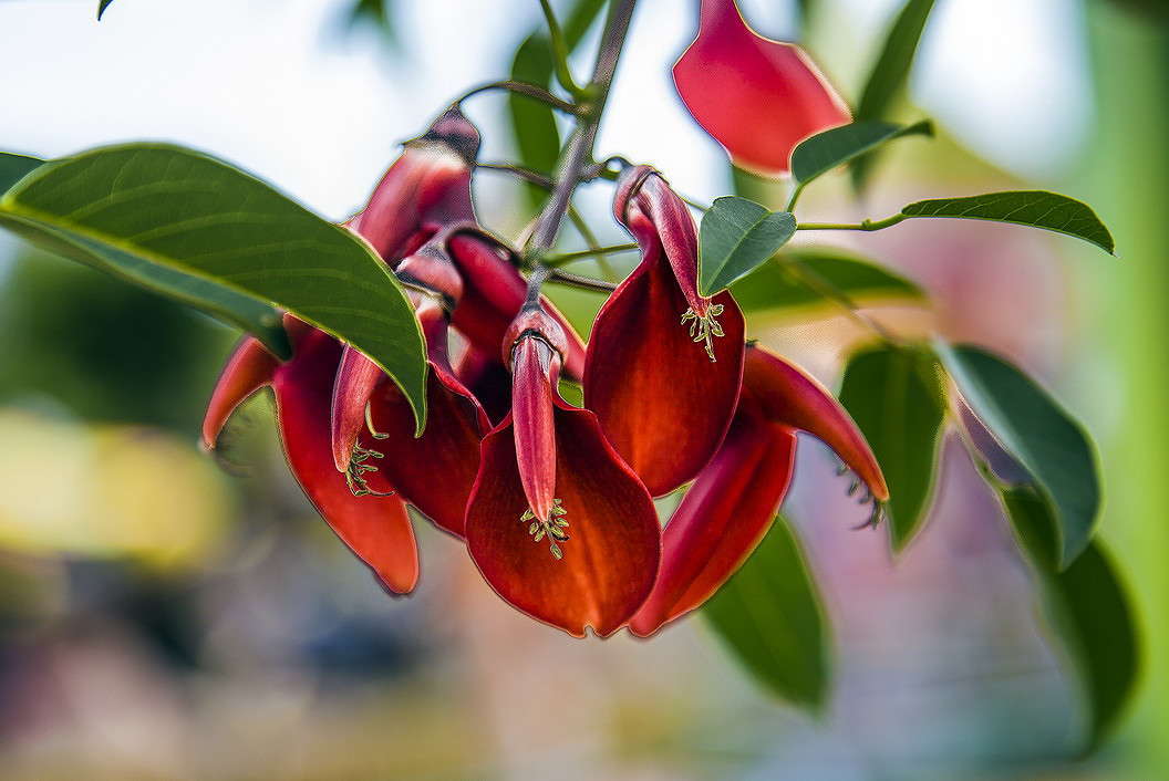 ��� ����������? ����� ���������  �� PhotoGeek.ru #������ ��� �������