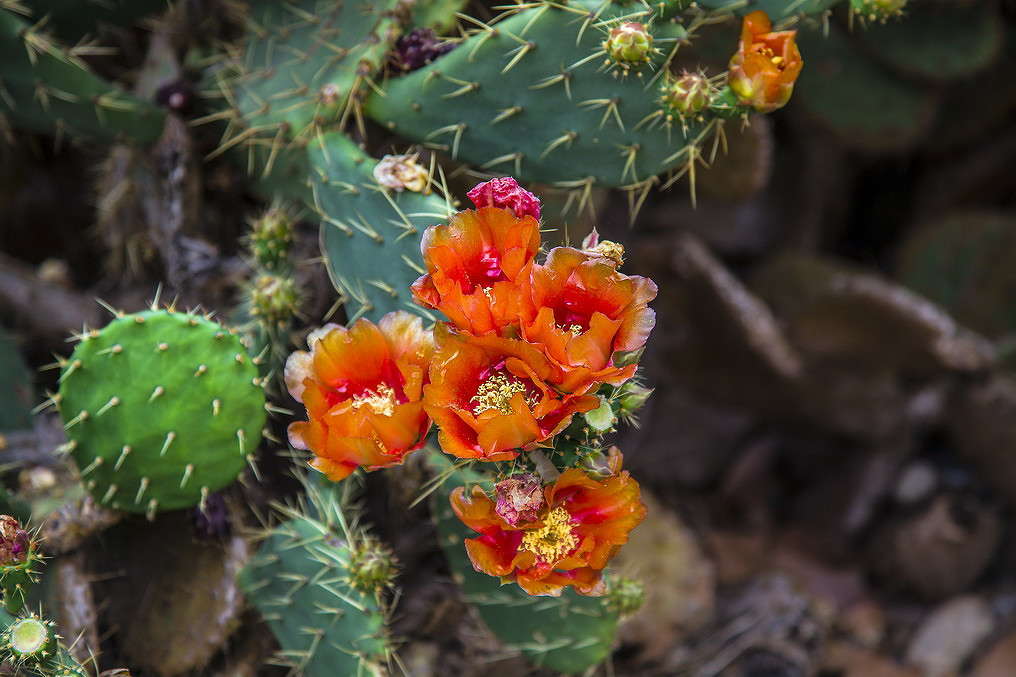 ... ����� ���������  �� PhotoGeek.ru #������ ��� ������� #����� ��������������