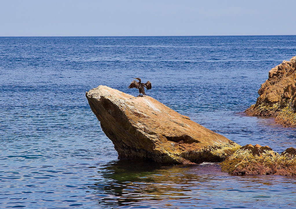 ������� ����� ���������  �� PhotoGeek.ru #�������� ���