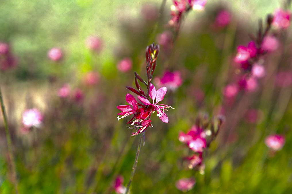 ��� ����� ���������  �� PhotoGeek.ru #������ ��� �������