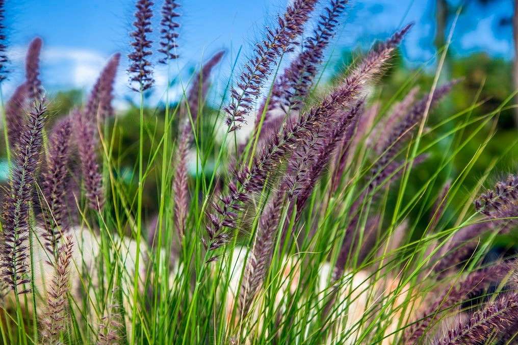 ����� ����� ���������  �� PhotoGeek.ru #������ ��� �������