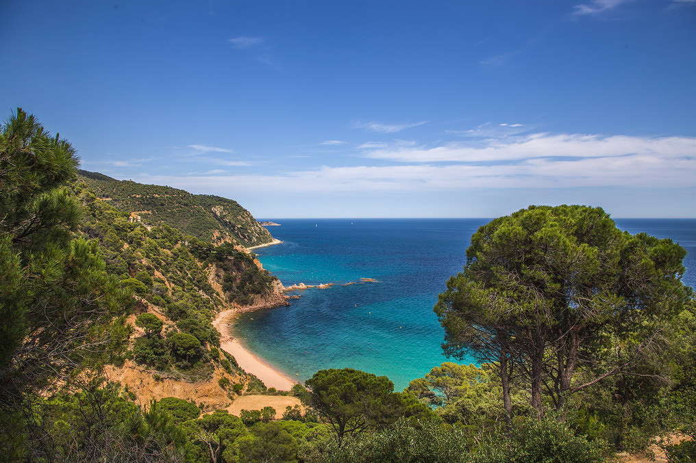 ����� ����� ����� ���������  �� PhotoGeek.ru #������ ��� �������