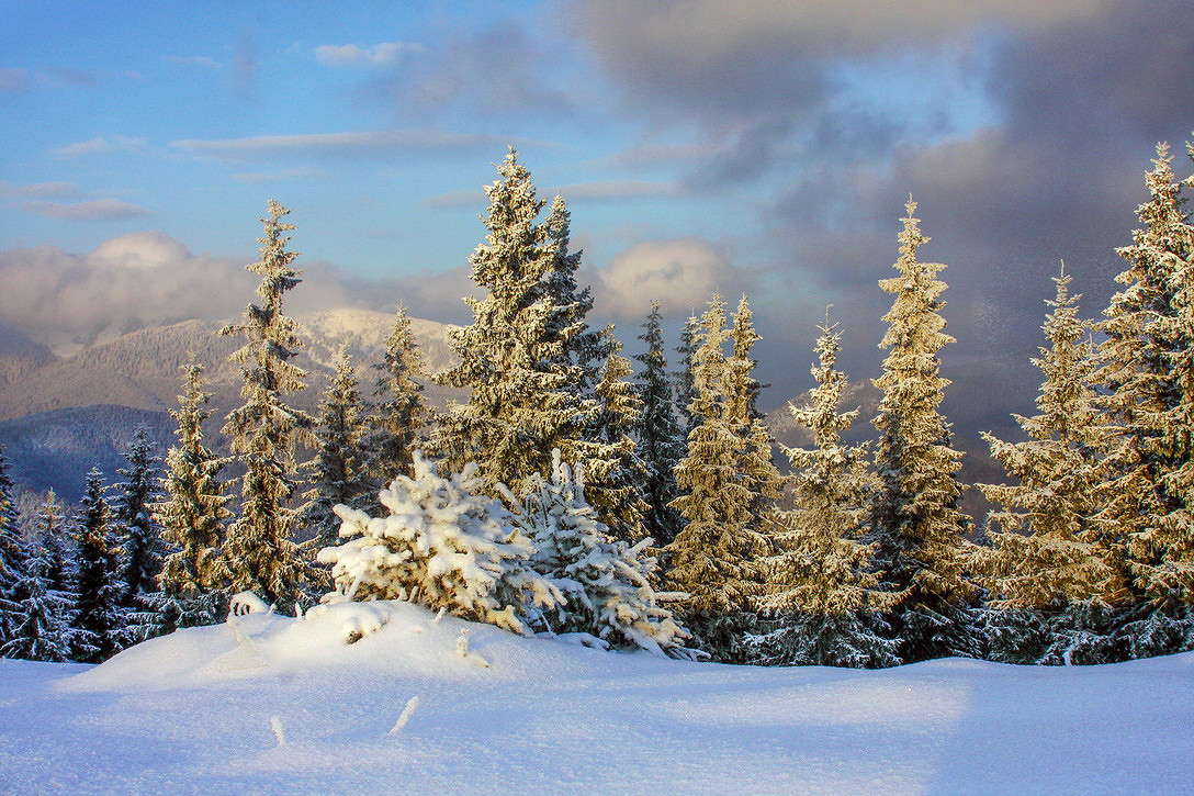 ... ����� ���������  �� PhotoGeek.ru #������ ��� �������