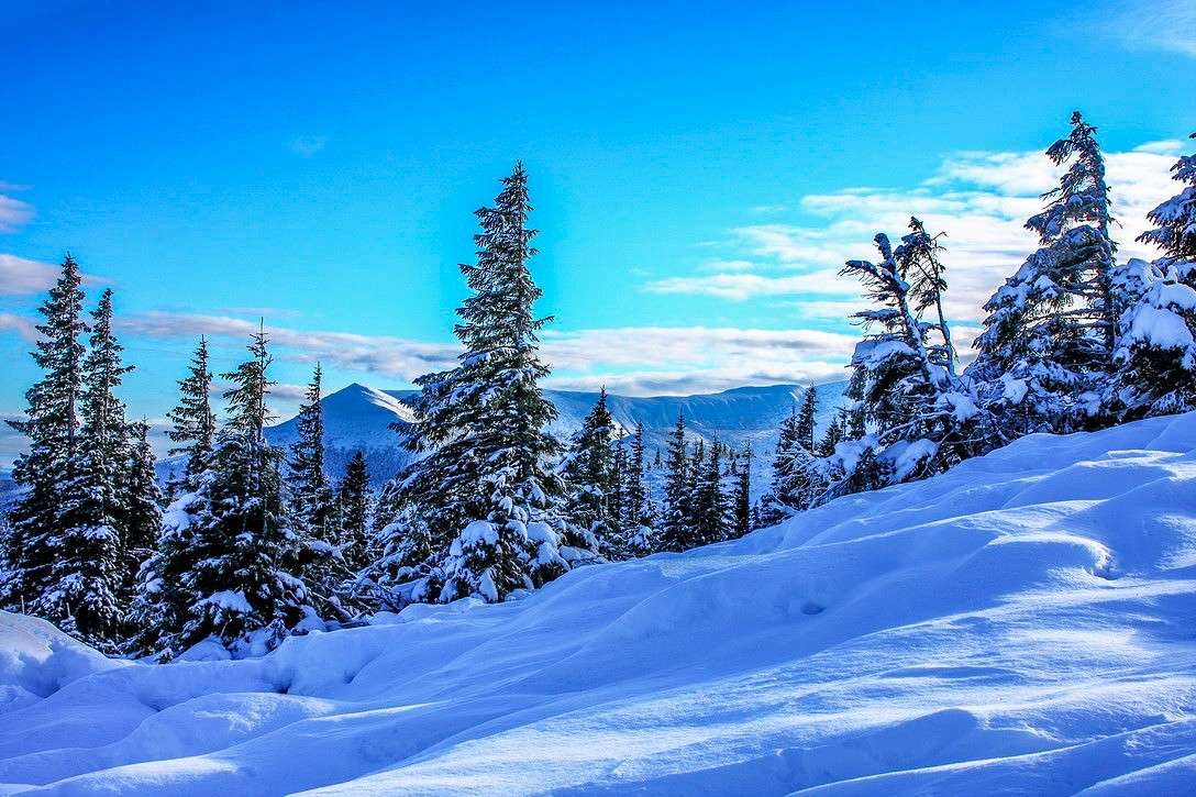 ... ����� ���������  �� PhotoGeek.ru #������ ��� �������