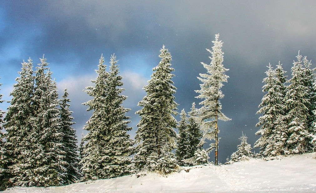 ... ����� ���������  �� PhotoGeek.ru #������ ��� �������