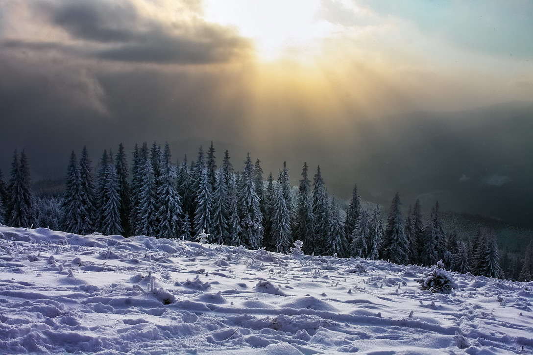 ... ����� ���������  �� PhotoGeek.ru #������ ��� �������