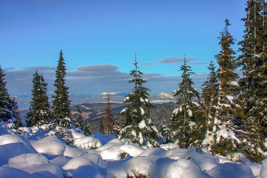 � �������� ������� ����� ���������  �� PhotoGeek.ru #������ ��� �������