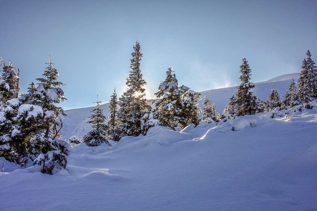 � �������� ����� ���������  �� PhotoGeek.ru #������ ��� �������