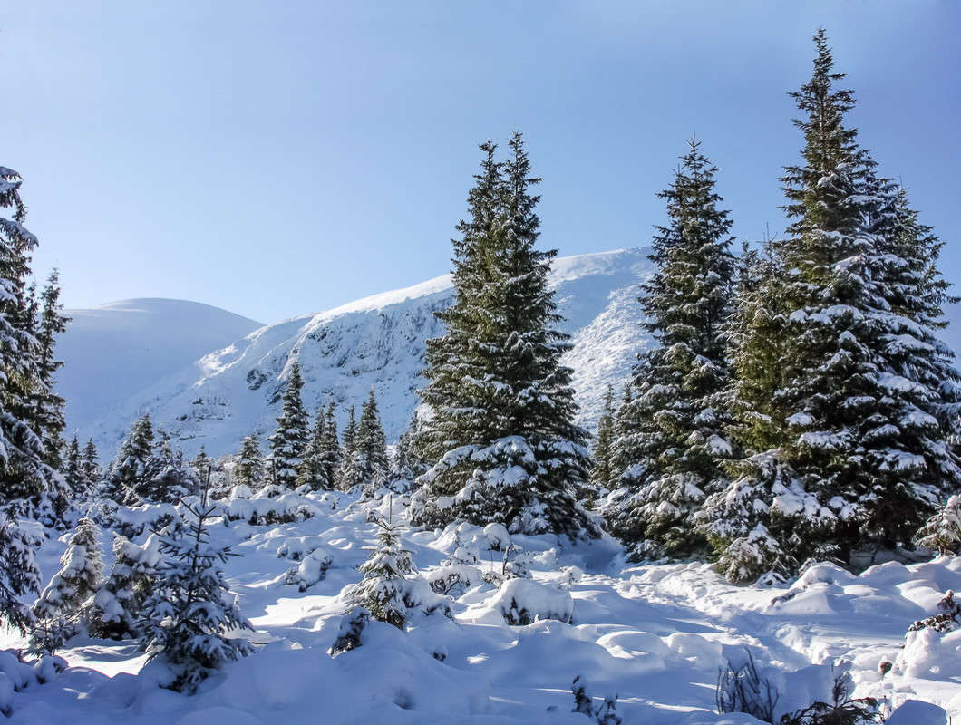 300 ������ �� ������� ����� ���������  �� PhotoGeek.ru #������ ��� �������