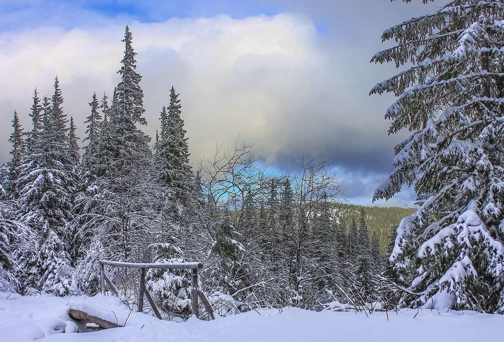 ... ����� ���������  �� PhotoGeek.ru #������ ��� �������