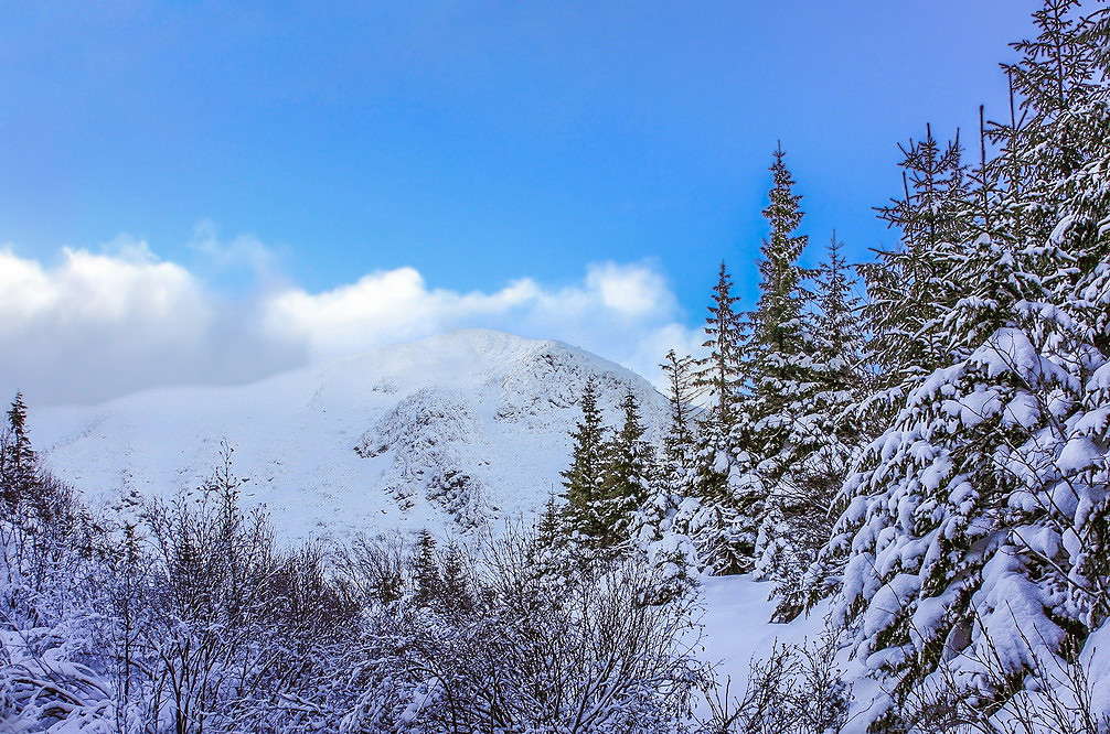 ... ����� ���������  �� PhotoGeek.ru #������ ��� �������