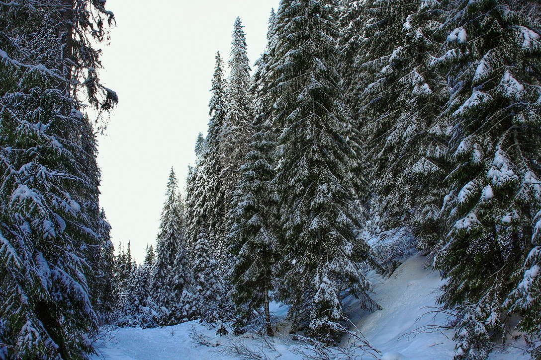 ... ����� ���������  �� PhotoGeek.ru #������ ��� �������