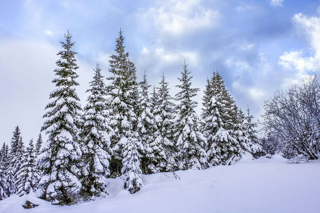 ... ����� ���������  �� PhotoGeek.ru #������ ��� �������