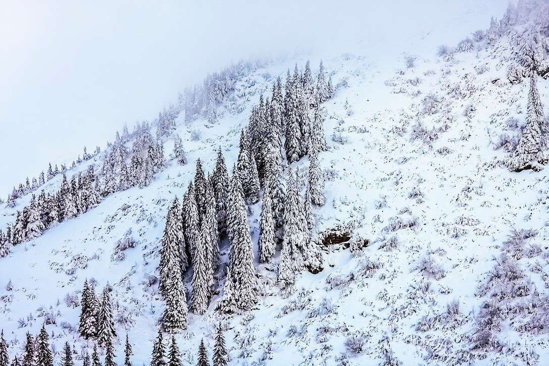 ... ����� ���������  �� PhotoGeek.ru #������ ��� �������