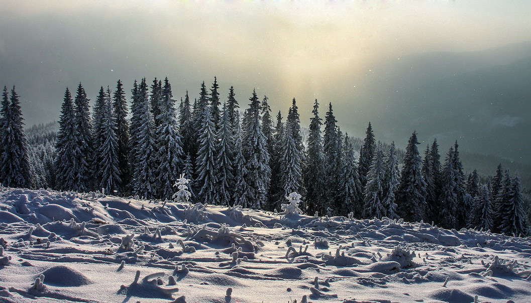 ... ����� ���������  �� PhotoGeek.ru #������ ��� �������