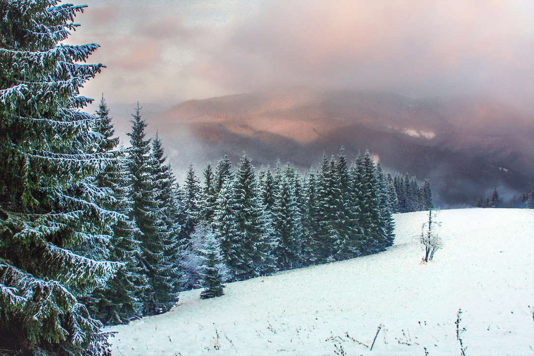 ������ ����� ���������  �� PhotoGeek.ru #������ ��� �������