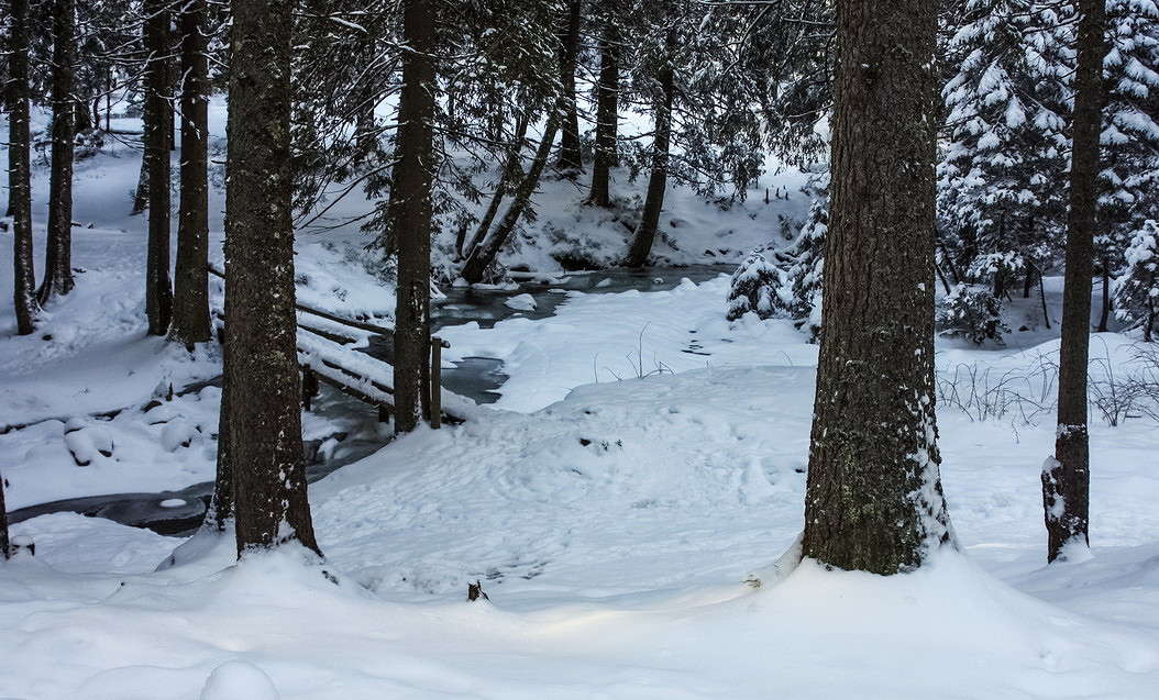 � ������ �������� ����� ���������  �� PhotoGeek.ru #������ ��� �������