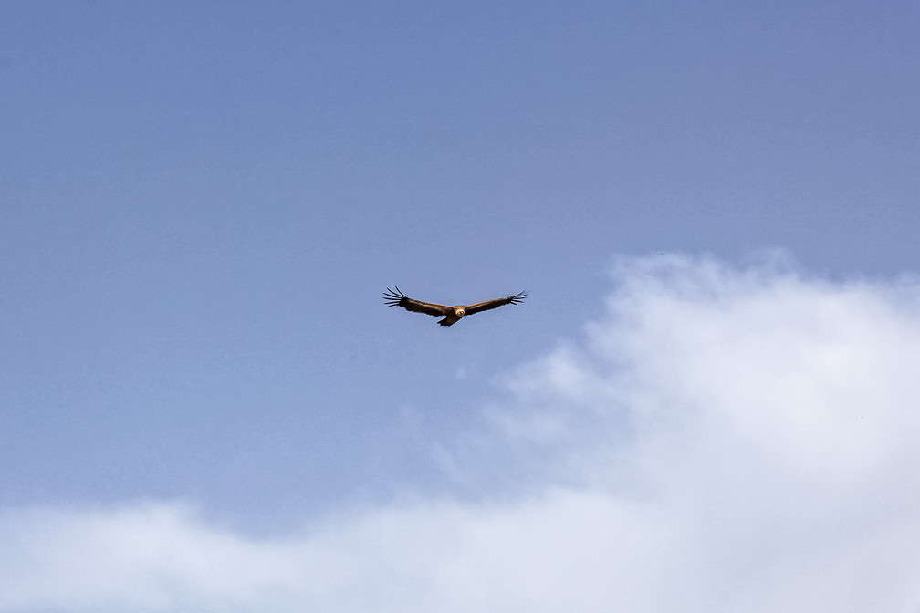 ������� ��� �������� ����� ���������  �� PhotoGeek.ru #�������� ���