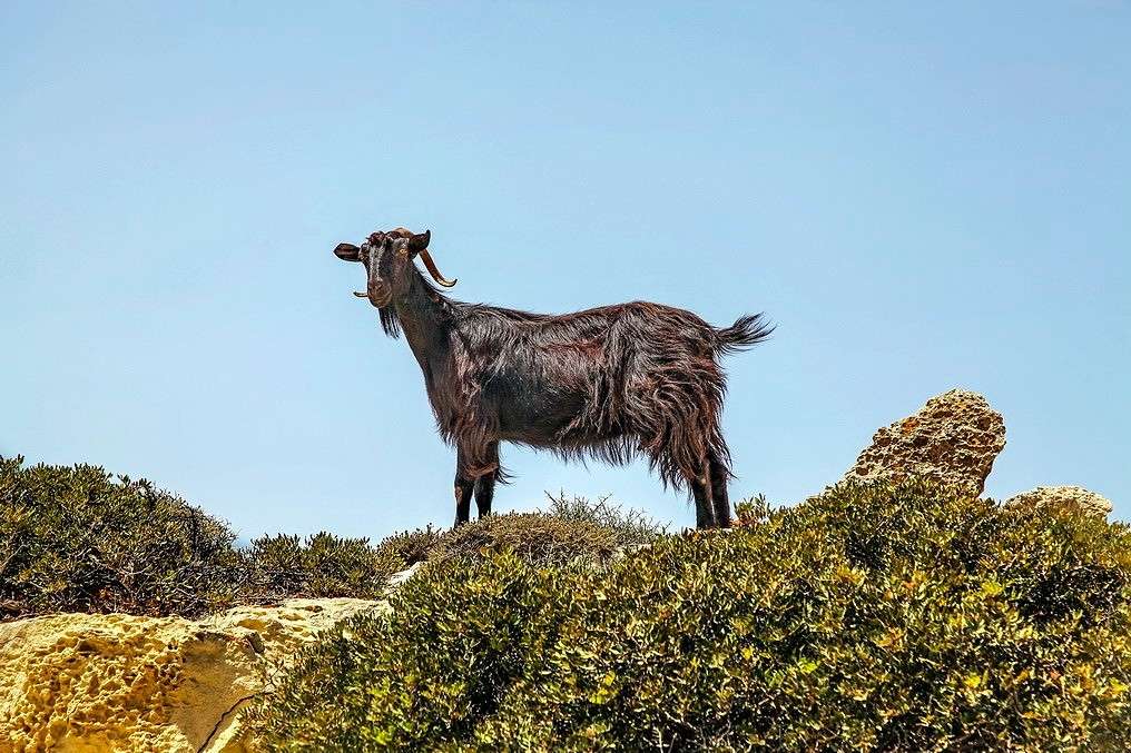 ��������� ��������� ����� ���������  �� PhotoGeek.ru #�������� ���