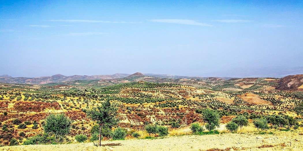 ���������� ���� ������ ����� ���������  �� PhotoGeek.ru #������ ��� �������