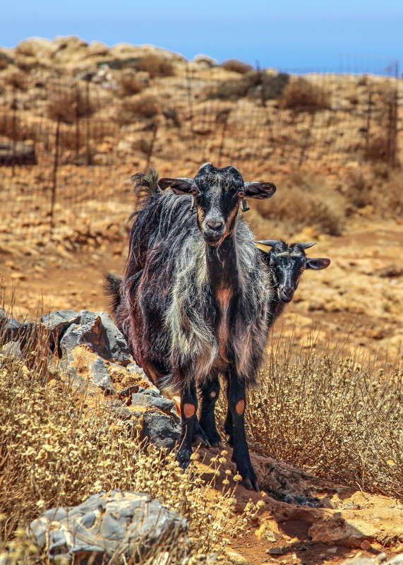 ������� ����� ���������  �� PhotoGeek.ru #�������� ���