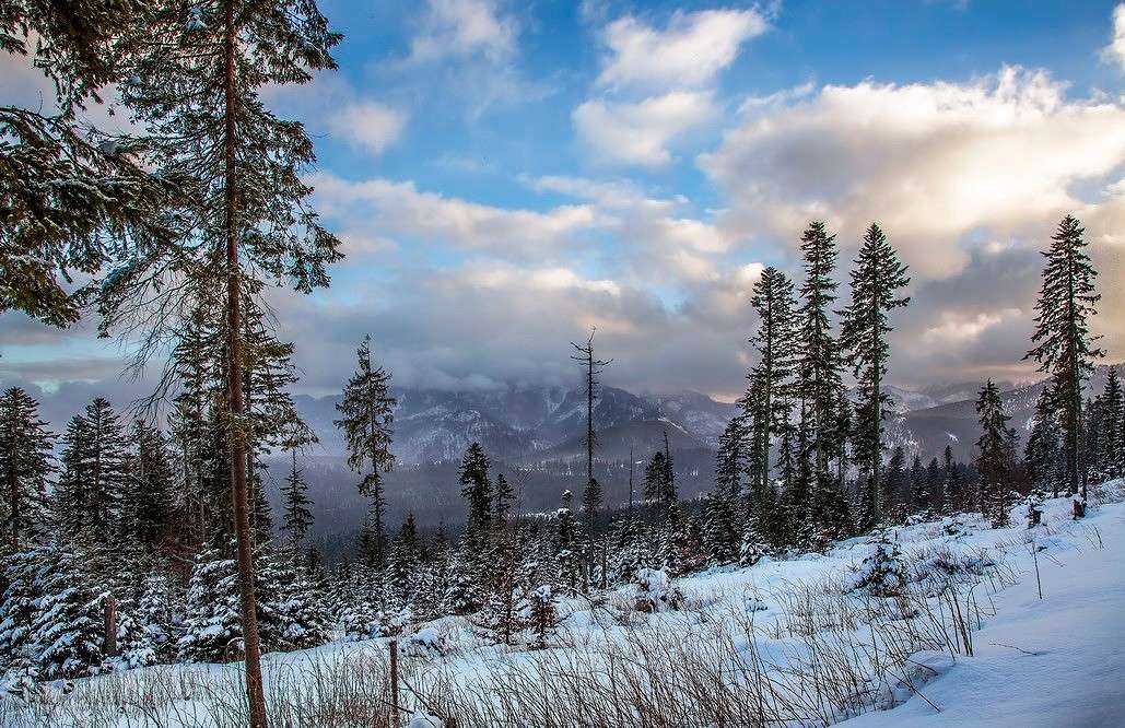 � ������ ����� ���������  �� PhotoGeek.ru #������ ��� �������