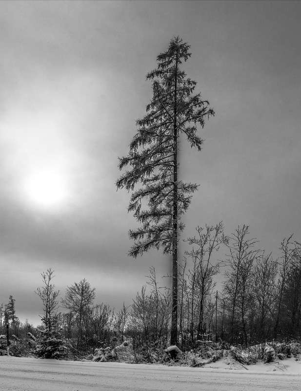 ... ����� ���������  �� PhotoGeek.ru #������ ��� �������