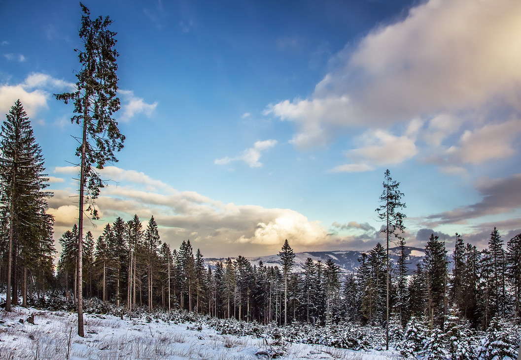 ... ����� ���������  �� PhotoGeek.ru #������ ��� �������