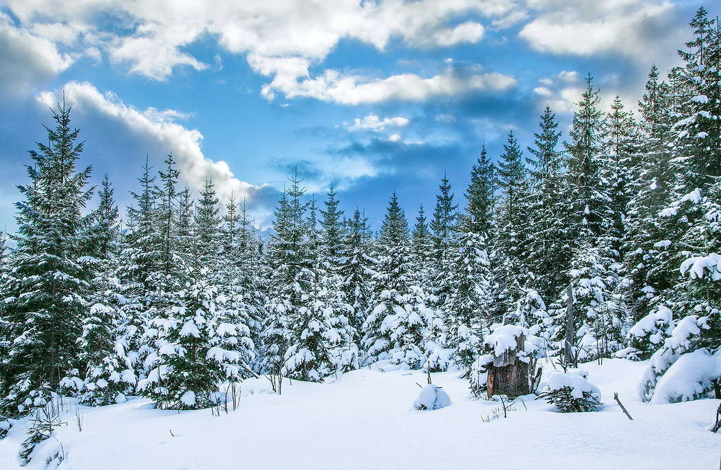 ����� ����� ���������  �� PhotoGeek.ru #������ ��� �������