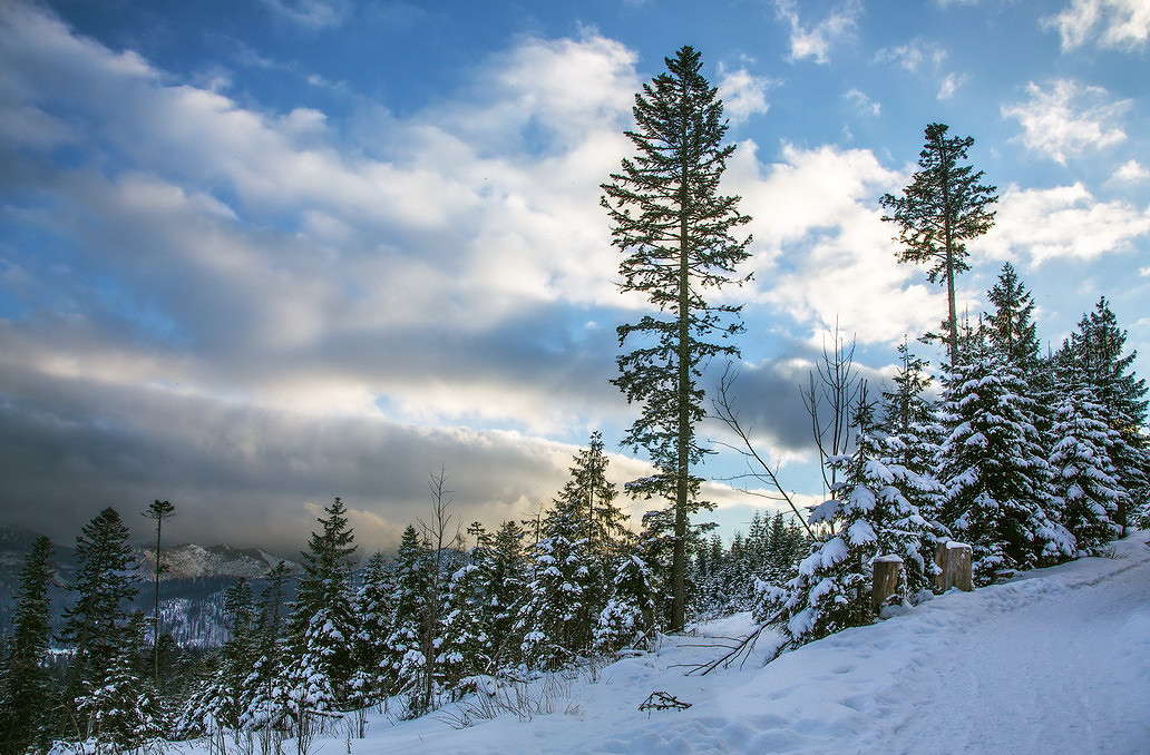 ... ����� ���������  �� PhotoGeek.ru #������ ��� �������