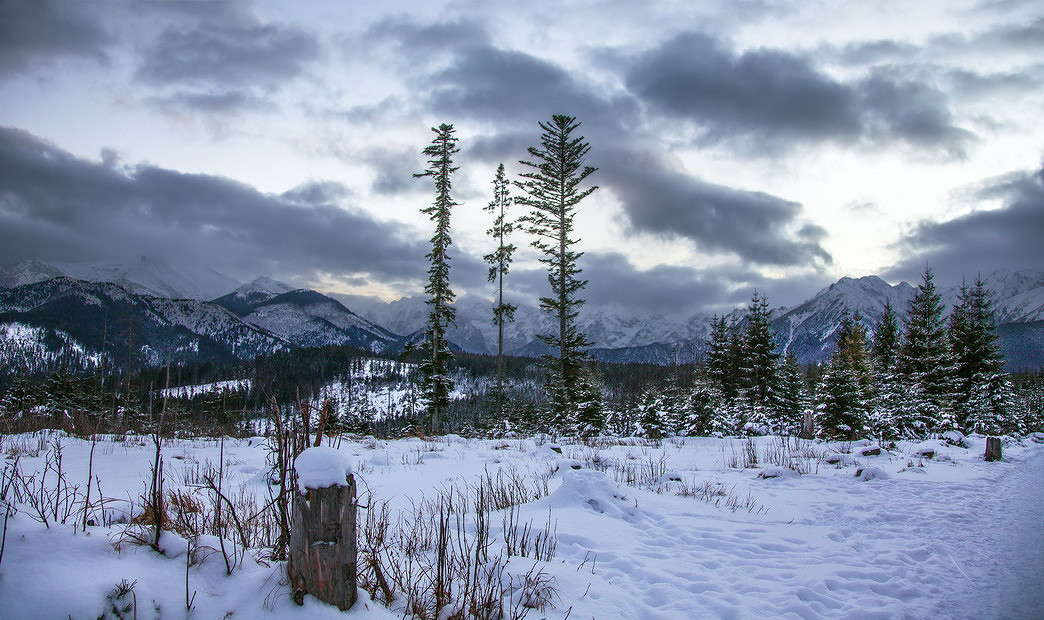 ... ����� ���������  �� PhotoGeek.ru #������ ��� �������