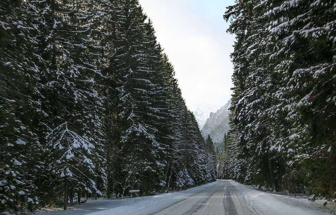 ... ����� ���������  �� PhotoGeek.ru #������ ��� �������