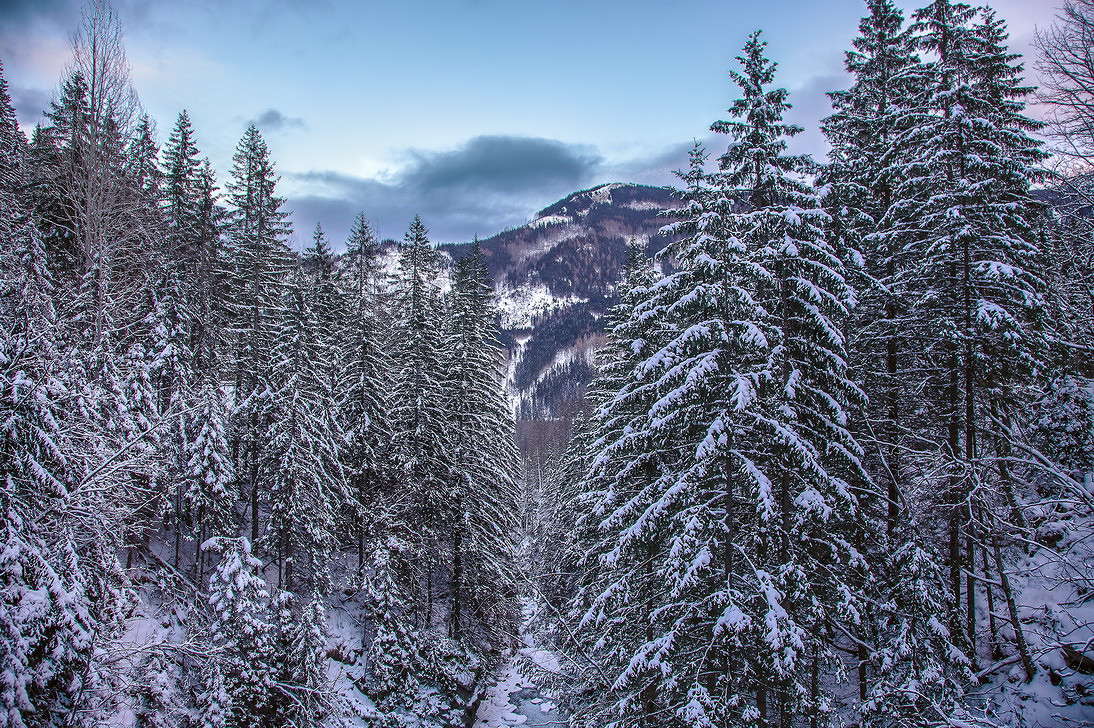 ����� ����� ���������  �� PhotoGeek.ru #������ ��� �������