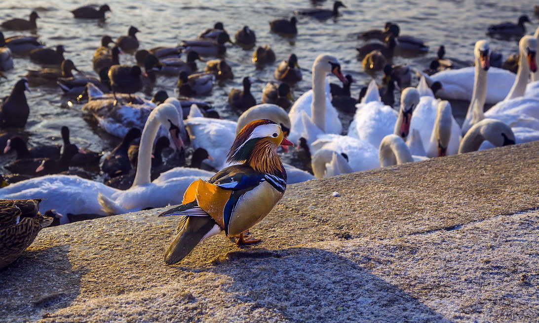 � ����� ������ ����� ���������  �� PhotoGeek.ru #�������� ���