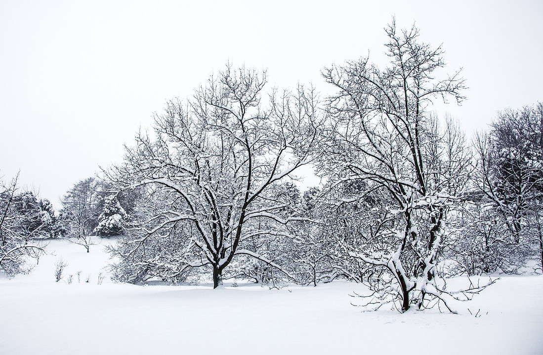 ... ����� ���������  �� PhotoGeek.ru #������ ��� �������