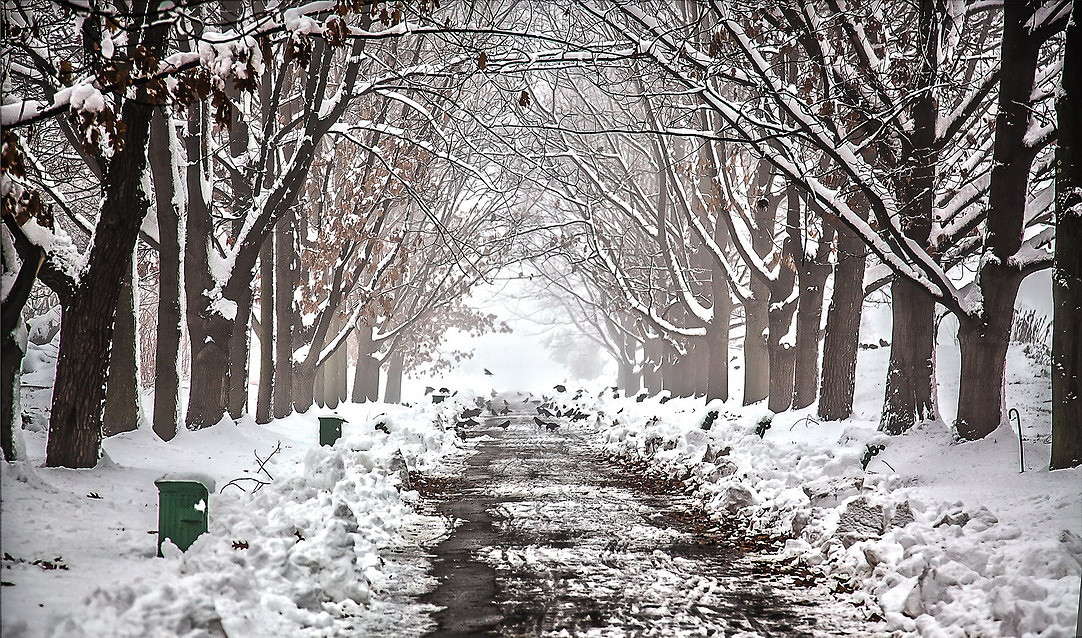 ... ����� ���������  �� PhotoGeek.ru #������ ��� �������