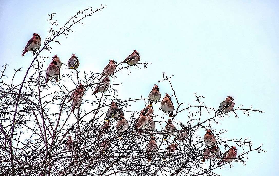 ���������� ����� ���������  �� PhotoGeek.ru #�������� ���