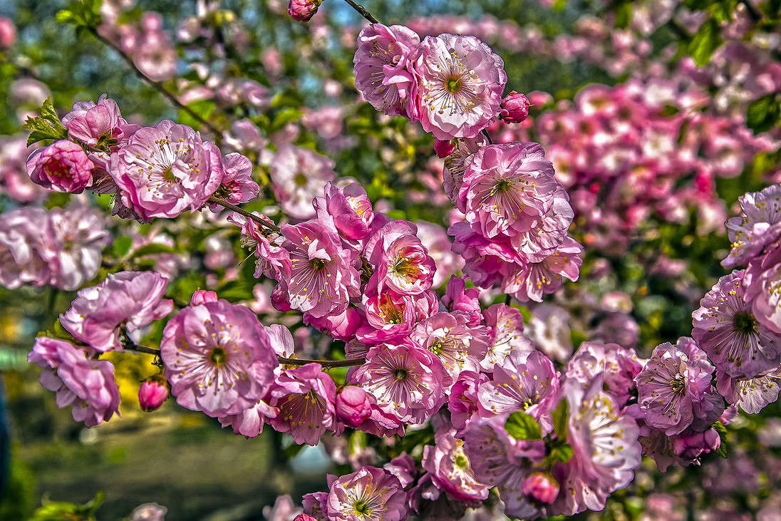 ������ ����� ���������  �� PhotoGeek.ru #������ ��� �������