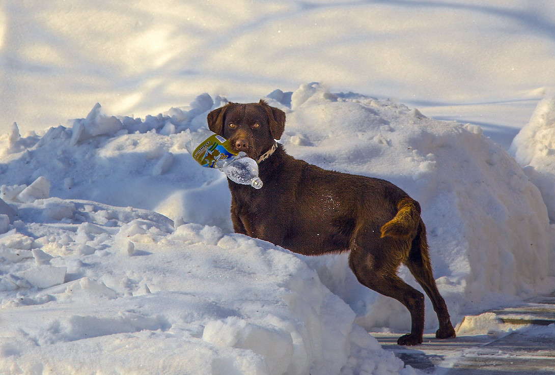 ���� ����� ���������  �� PhotoGeek.ru #�������� ���