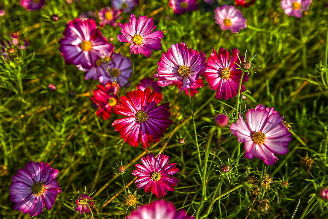 ������ ����� ���������  �� PhotoGeek.ru #������ ��� �������