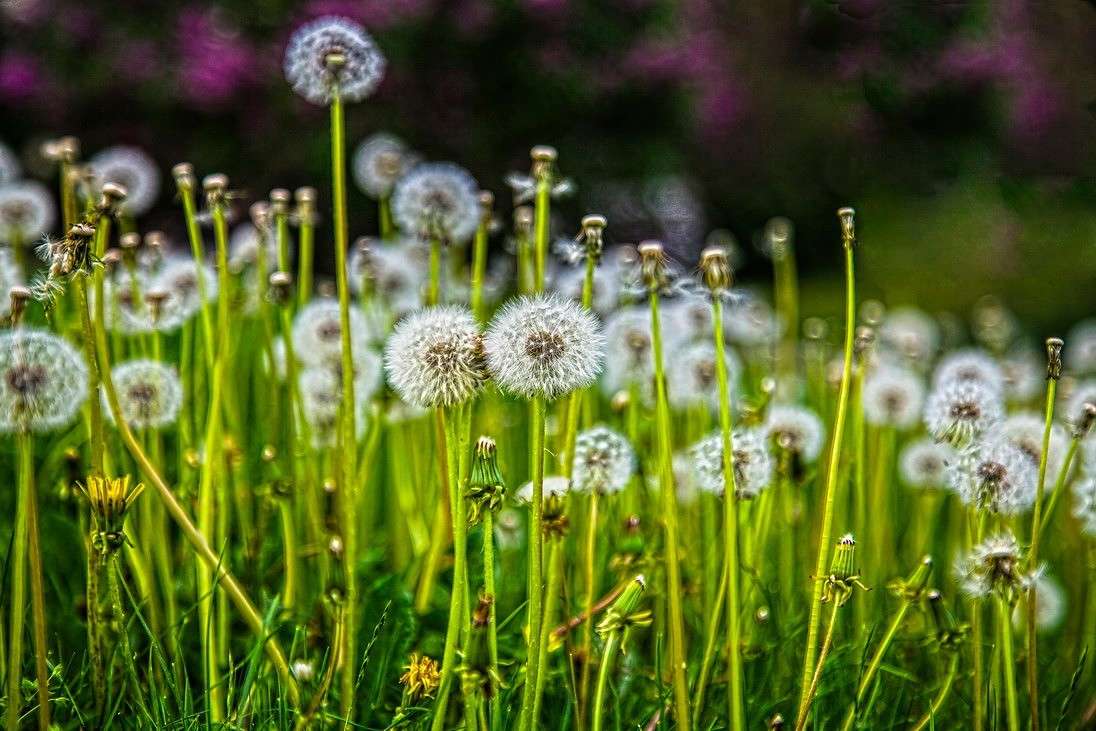 ���������� ����� ���������  �� PhotoGeek.ru #������ ��� �������