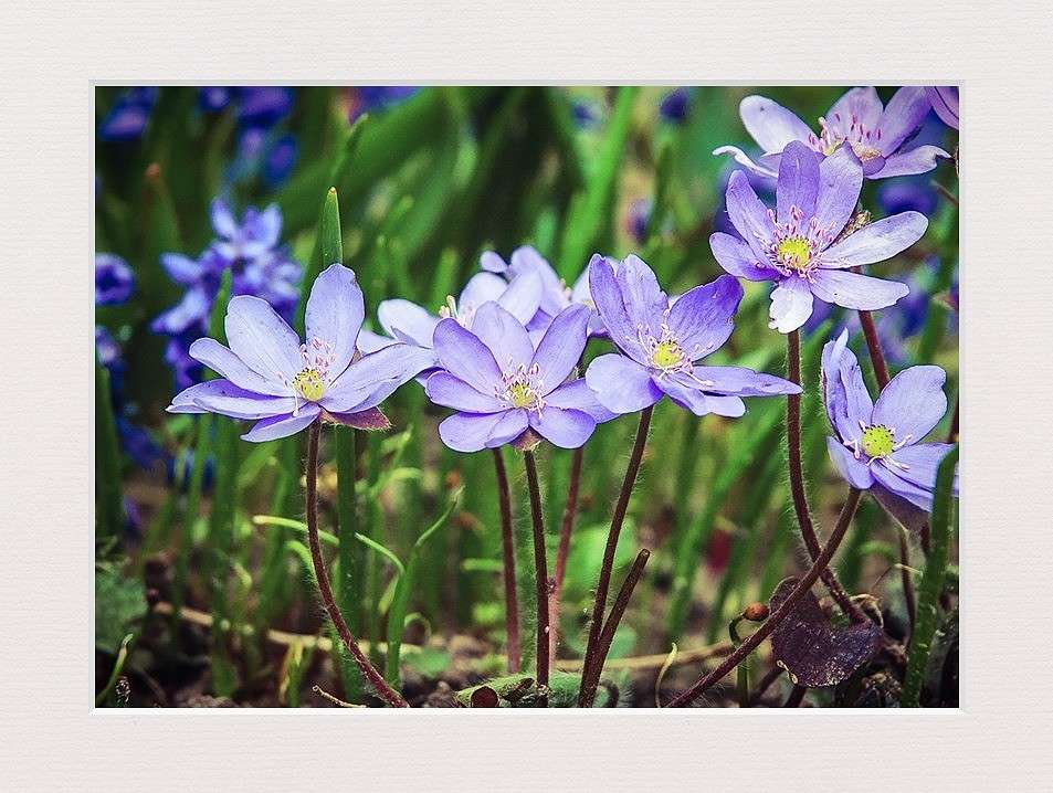 ����������� ����� ���������  �� PhotoGeek.ru #������ ��� �������