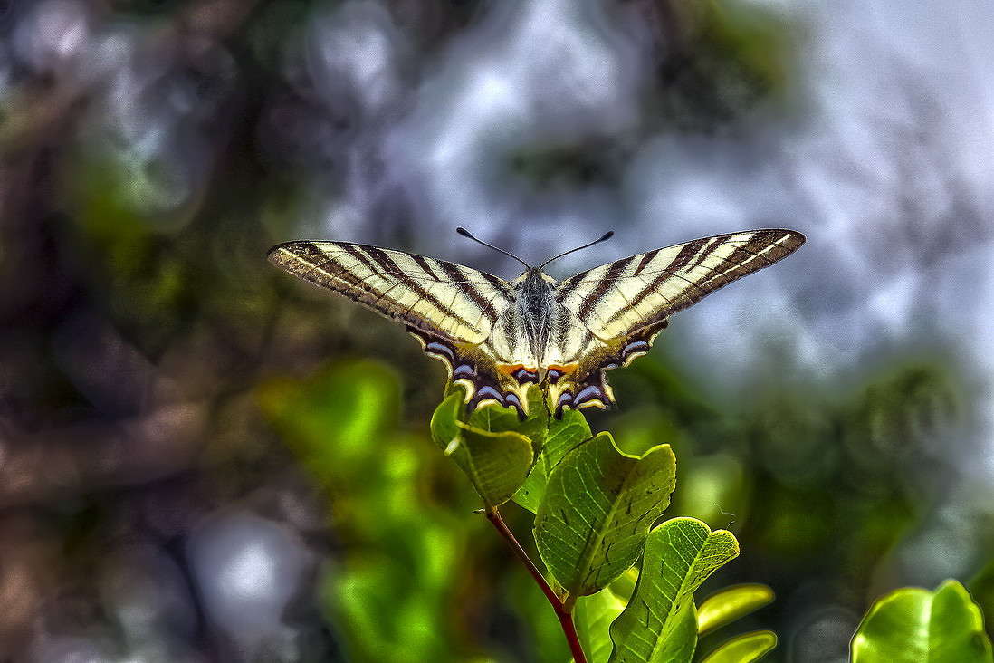 ��������-������ ����� ���������  �� PhotoGeek.ru #�������� ���