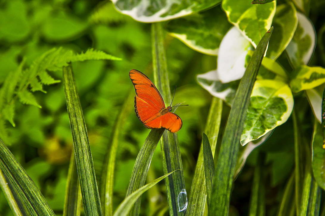 ... ����� ���������  �� PhotoGeek.ru #�������� ���