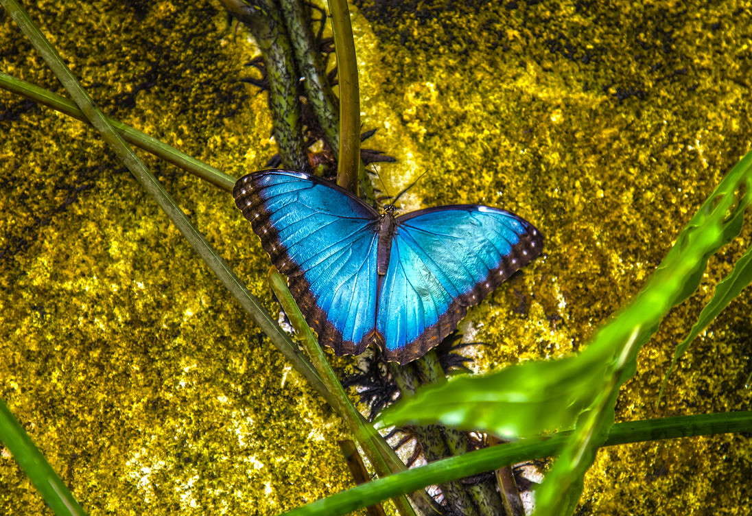 ... ����� ���������  �� PhotoGeek.ru #�������� ���