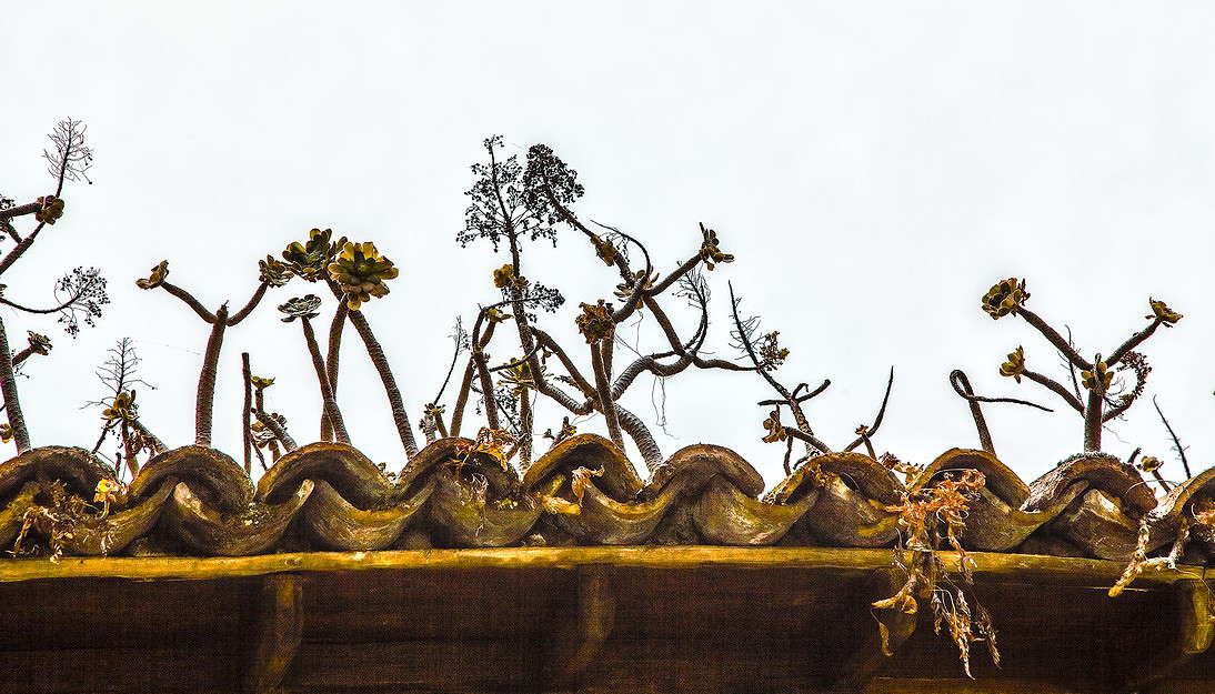 ���������� ����� ���������  �� PhotoGeek.ru #������ ��� �������