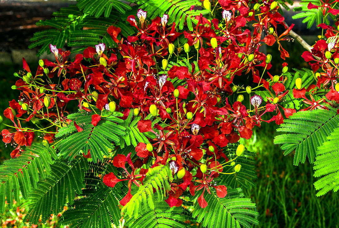 ������ ����� ���������  �� PhotoGeek.ru #������ ��� �������