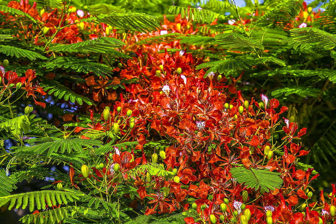 ������ ����� ���������  �� PhotoGeek.ru #������ ��� �������